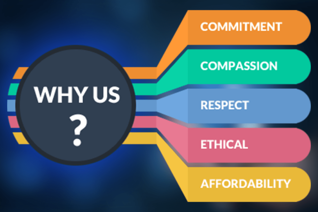 WHY-US01